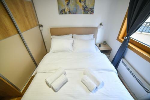 Vila Elsa Apartmani Kosta Todorovic