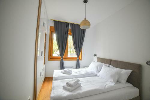 Vila Elsa Apartmani Kosta Todorovic
