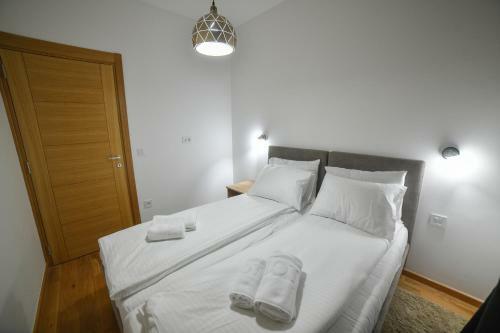 Vila Elsa Apartmani Kosta Todorovic