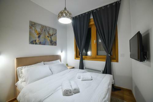 Vila Elsa Apartmani Kosta Todorovic