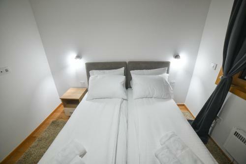 Vila Elsa Apartmani Kosta Todorovic