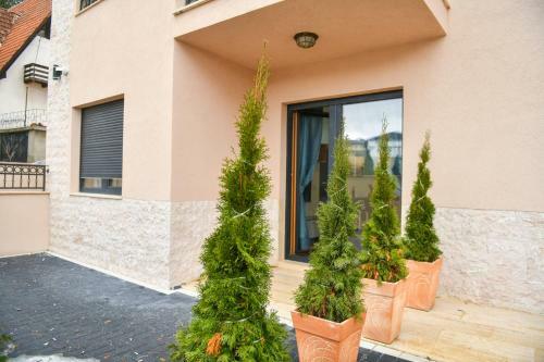 Vila Elsa Apartmani Kosta Todorovic