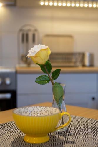 Apartman Kaja