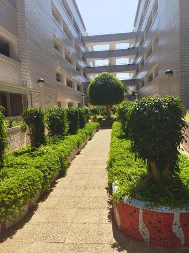 Precioso Apartamento En Marina D�or.