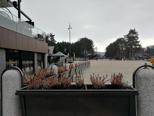 Zlatibor Apartman 69