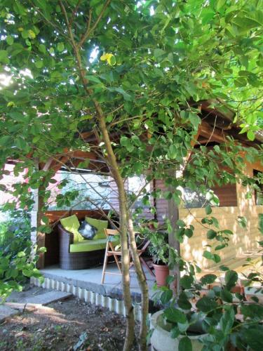 Bed & Breakfast Pod Orehi