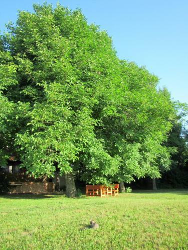 Bed & Breakfast Pod Orehi