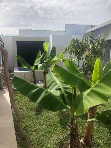 Apartamento Casa Bella