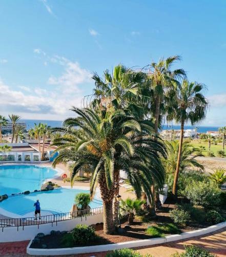 Apartamento Amarilla Golf 2c3