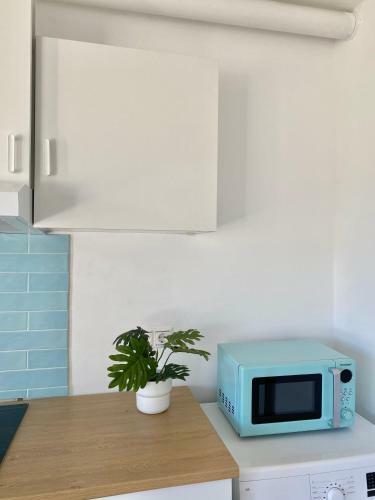 Apartamento Indigo
