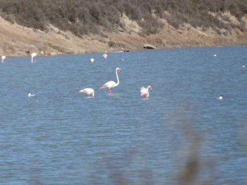 Maison R�nov�e � 250m De La Mer