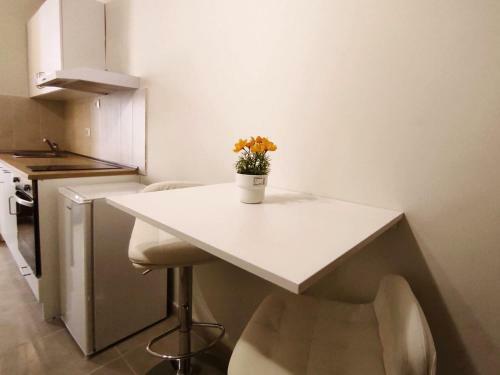 Apartamentos Carrillo II