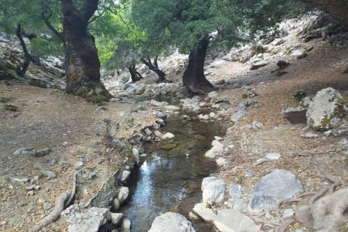 Villa Strata (a Path To Psiloritis Mountain)