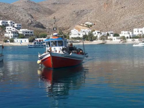 Flisvos