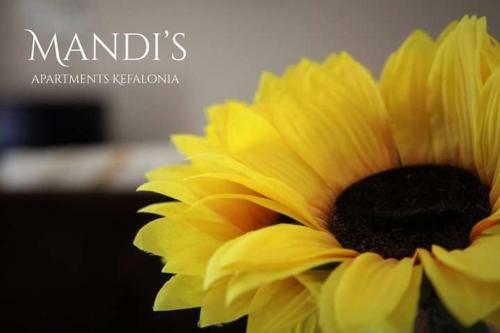Mandi's Apartments
