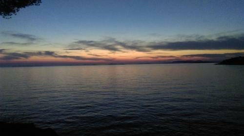 Apartman Jasa
