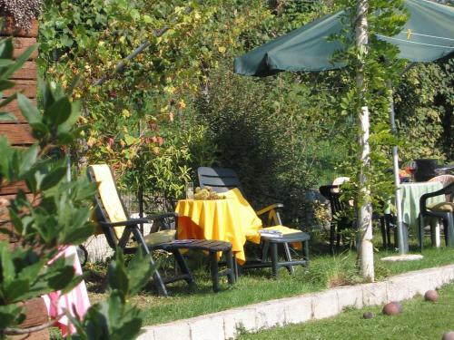 Cozy Apartment In Roncegno Terme With Garden