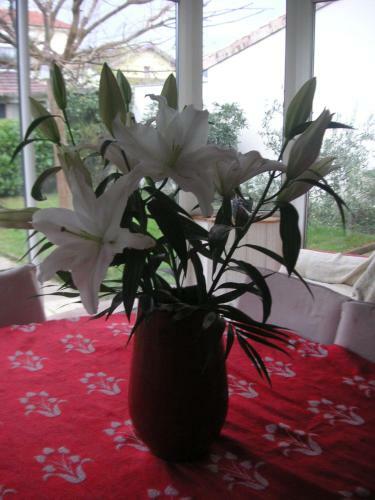 Bed & Breakfast Le Clos Pr�vinqui�res