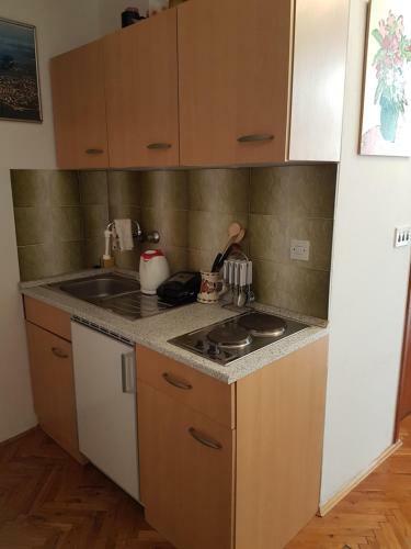 Apartment Slava