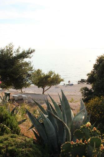 Studio Apartment Dada