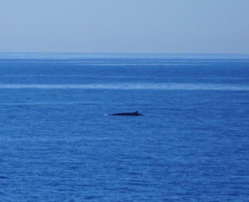 Villa Paz Del Mar