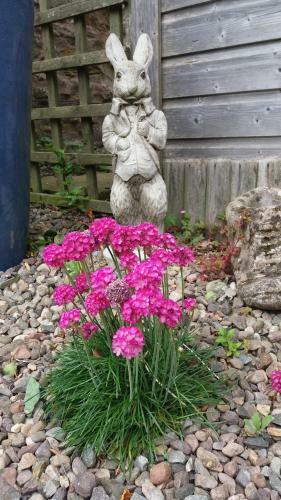 Troustrie House B&B