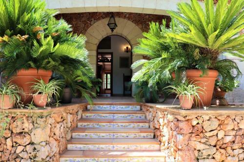 Villa Costa De Los Pinos