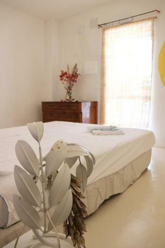 Albergue La Pandilla Ibiza