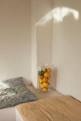 Albergue La Pandilla Ibiza