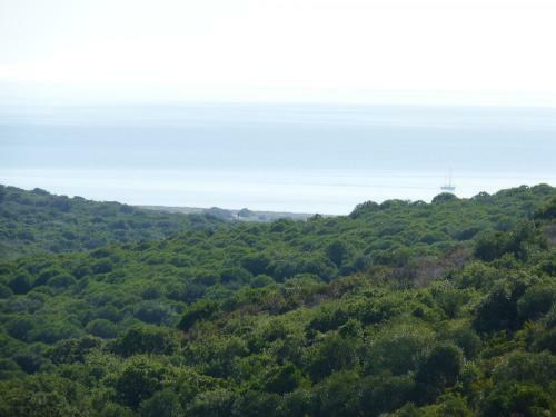 Apartamento Terrazas de Alcaidesa 2361