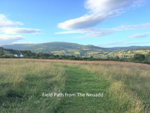 The Neuadd Cottages