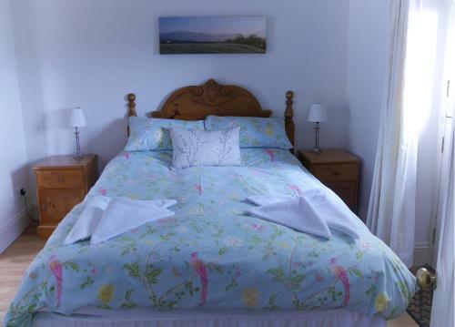 The Neuadd Cottages