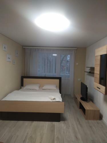 Magnolia Apartment
