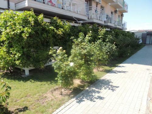 Hostal ????? ???????