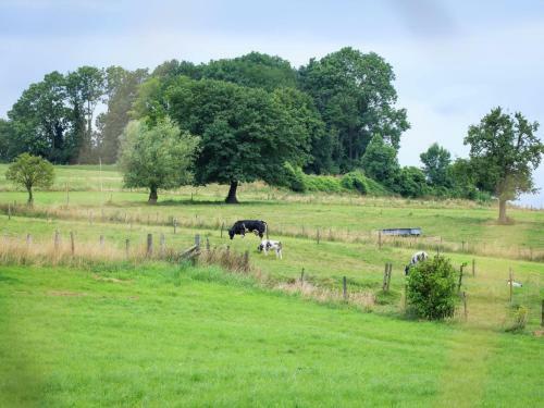 Holiday Home De Dal Mechelen I