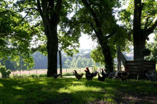 Bed & Breakfast La Butte De Gohier