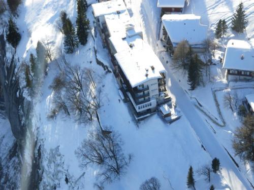 Hotel Alpina