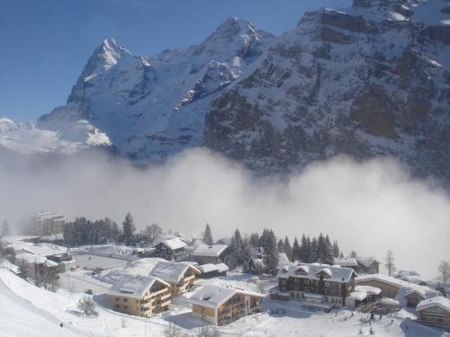 Hotel Alpina