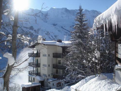 Hotel Alpina