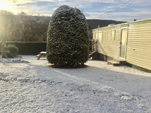 Forest View Caravan At Rose Cottage - Adults Only - Maximum 2 Guests