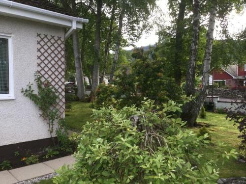 Bed & Breakfast Bunillidh