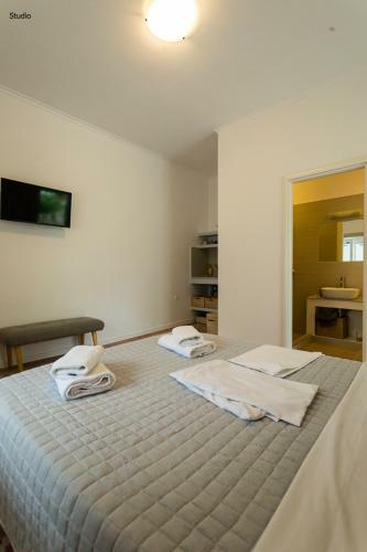 Aria Apartments