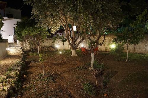Agroturismo Two Olive Trees