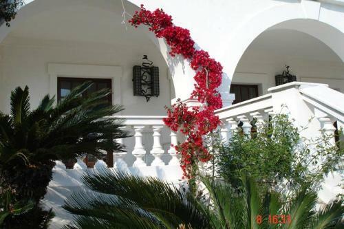 Villa Pyrgi Spetses
