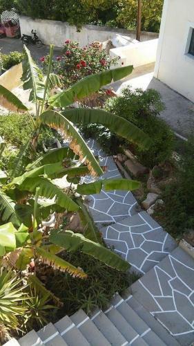 Posada Thalassa, Return To Timeless Spetses