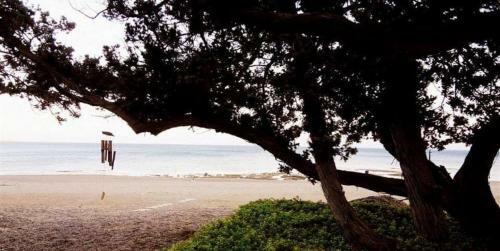 Marina Beach House