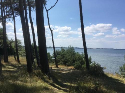Strandhaus Fiete - Haus Walfisch - Abc330