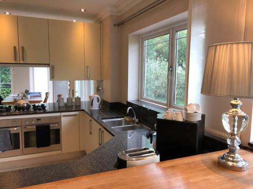 The Mirror Suite, Burway House On The River Thames