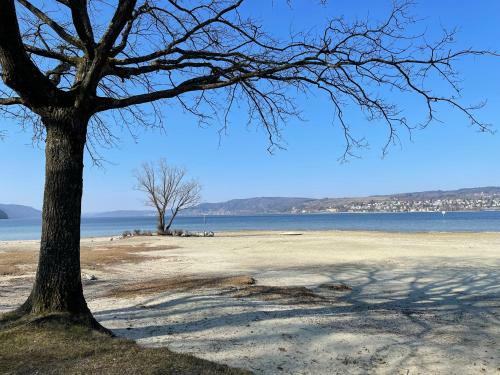 Chillout Room Am Bodensee