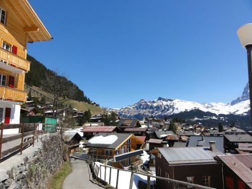 Apartamento Chalet Sch�nb�hl